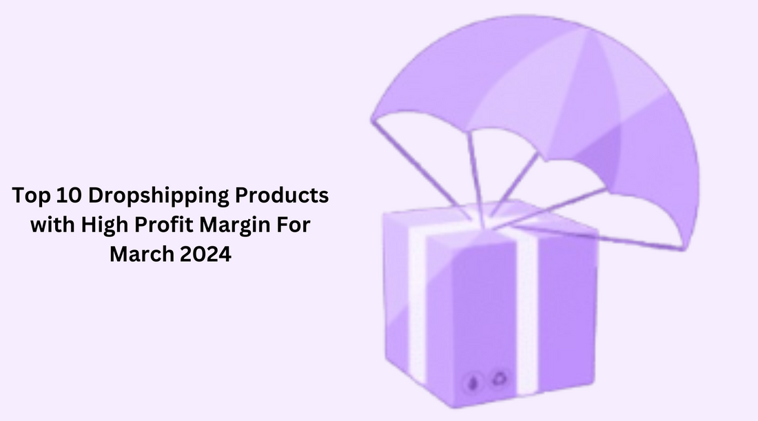 Top 10 Dropshipping Products with High Profit Margin For March 2024