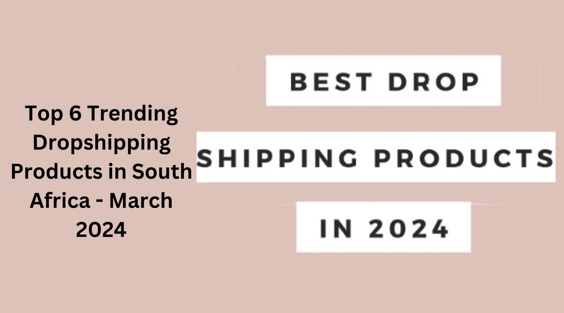 Top 6 Trending Dropshipping Products in South Africa - March 2024