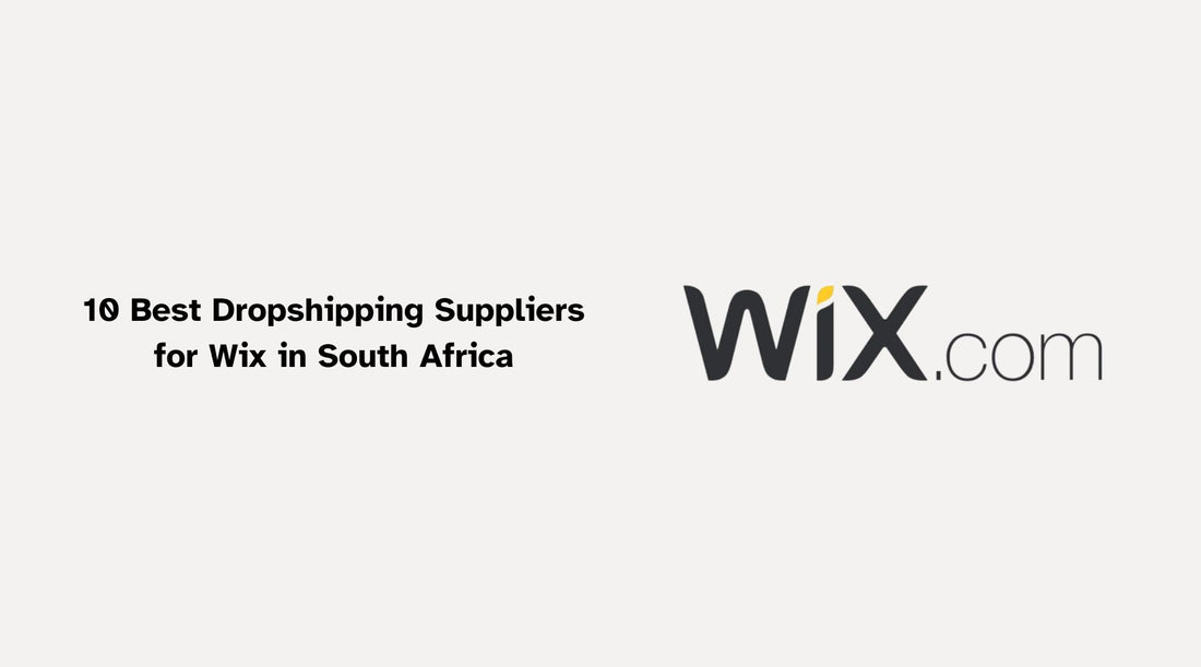 10 Best Dropshipping Suppliers for Wix in South Africa (2024)
