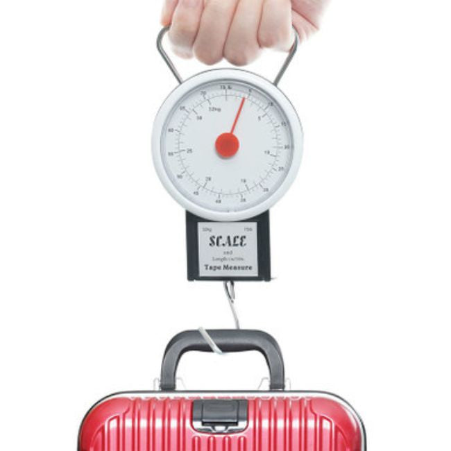Tape Measure Luggage Weight Hook Scale - 22kg