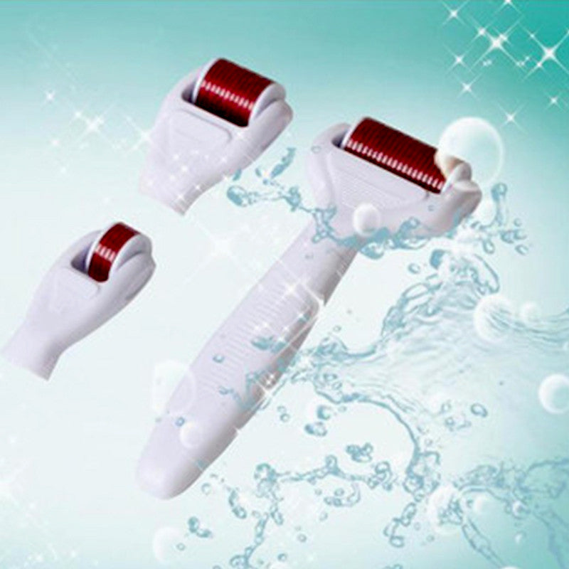 4 in 1 Derma Roller Cosmetic Kit