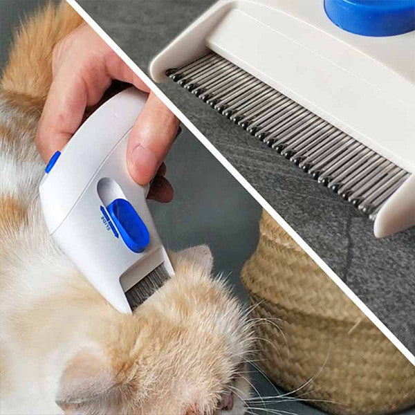 Flea Doctor for Dogs and Cats