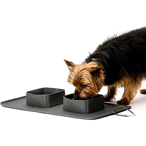 Foldable Pet Bowl