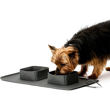 Foldable Pet Bowl