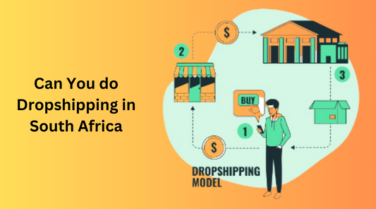 Can You do Dropshipping in South Africa