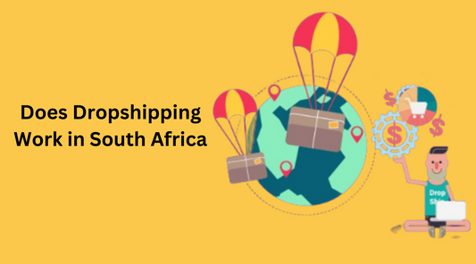 Does Dropshipping Work in South Africa