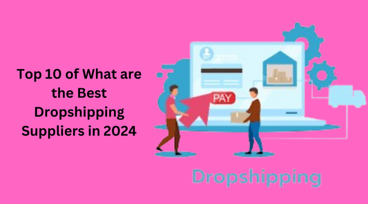 Top 10 of What are the Best Dropshipping Suppliers in 2024