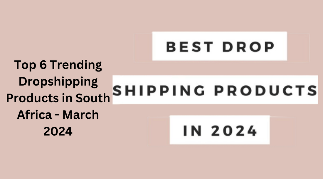 Top 6 Trending Dropshipping Products in South Africa March 2024