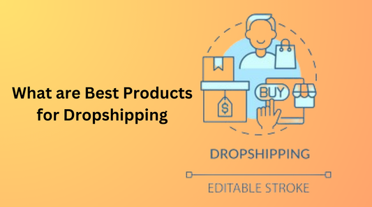 What are Best Products for Dropshipping