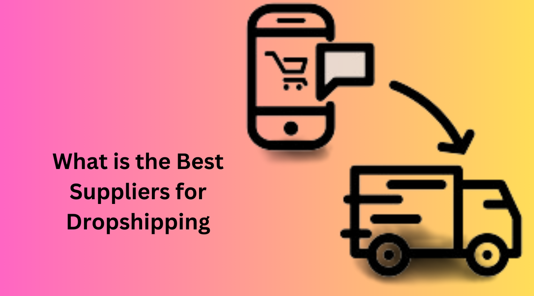 What is the Best Suppliers for Dropshipping