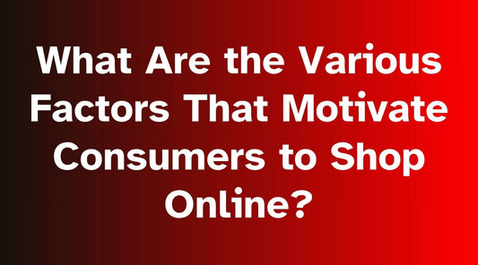 What Are the Various Factors Which Motivate a Consumer Towards Online Shopping