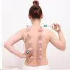Chinese Cupping Vacuum 12pcs