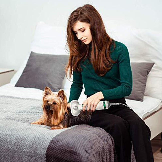 2-in-1 Portable Dog Dryer And Comb Brush