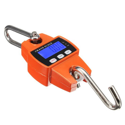 300Kg Mini Crane Scale
