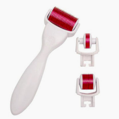 4 in 1 Derma Roller Cosmetic Kit