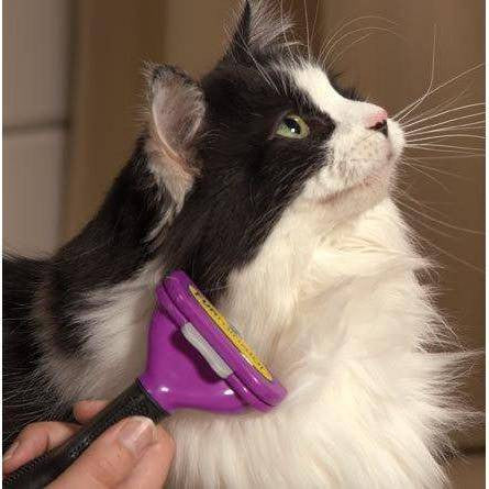 Deshedding Tool for Small Cats
