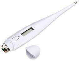 Digital Thermometer perfect dealz2