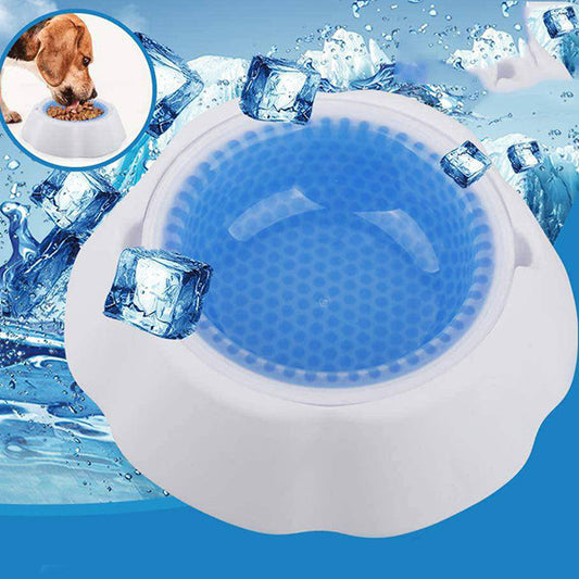 Frosty Bowl Chilled Pet Water Bowl